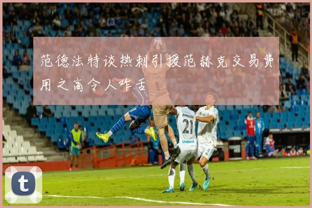 范德法特谈热刺引援范赫克交易费用之高令人咋舌
