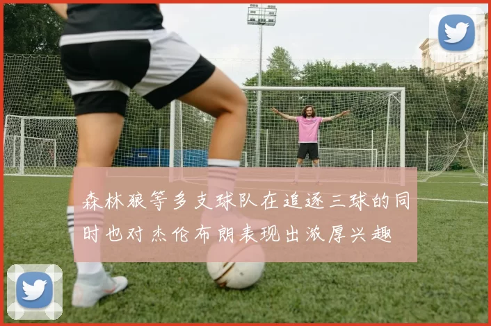 森林狼等多支球队在追逐三球的同时也对杰伦布朗表现出浓厚兴趣